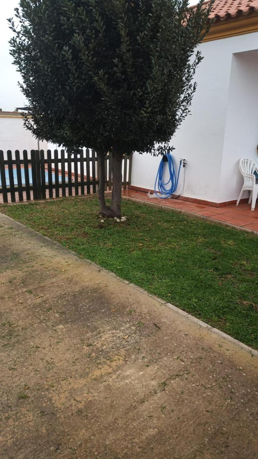 Bellavista De Conil Villa Conil De La Frontera Ngoại thất bức ảnh